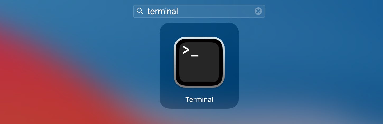 Entering “Terminal” in the LaunchPad