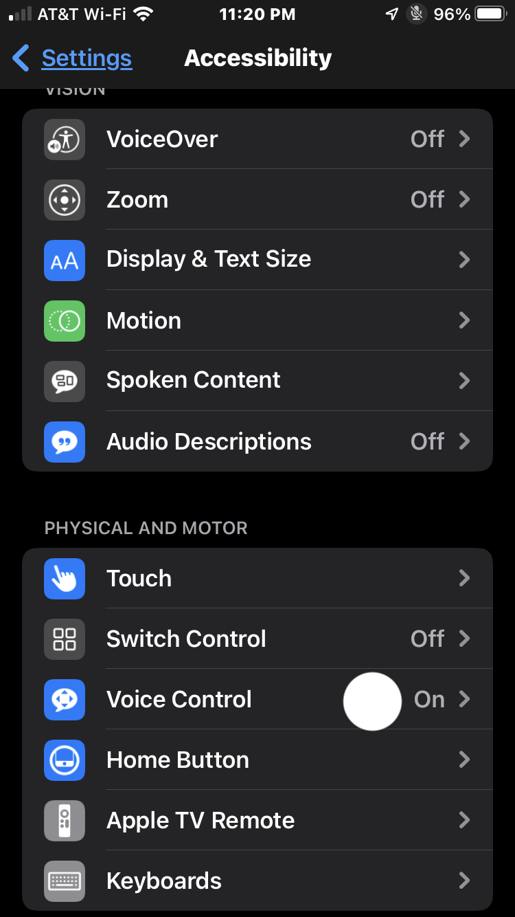 Step 4: In the forthcoming view, tap the “Voice Control” menu option.